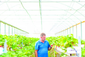 Market viable, study finds