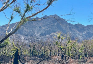 The Grampians need your visit