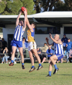 Former AFL player McKernan has impact for Balranald
