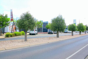 Trees to be removed for intersection upgrade
