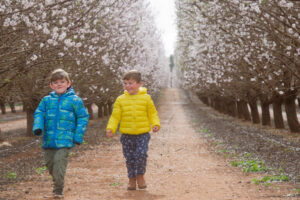 Festival ready to blossom