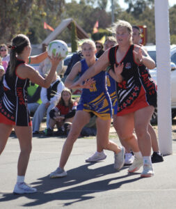 Eagles continue winning streak