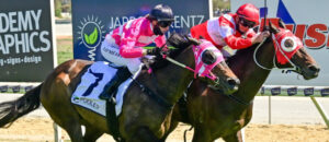 Locals steal the show at Swan Hill Racecourse