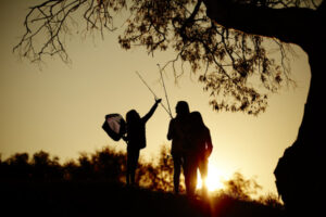 Half-price camping rolls on