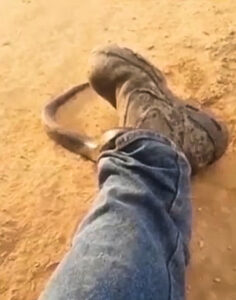 China conquers world