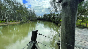 Thanks for the flows