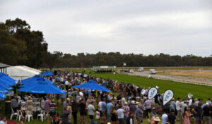 Cup of gold for Gunny race return