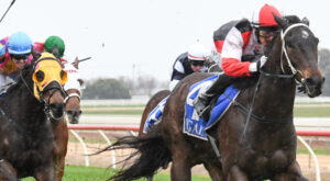 Watson’s weekend nirvana