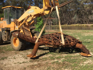 Snaping up turtle sculpture for Lake Meren