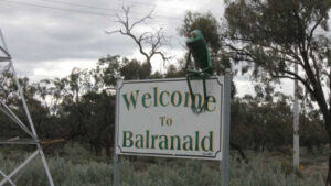 Balranald: “local government under threat”