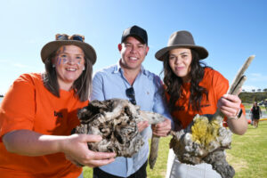 Root festival has the good wood