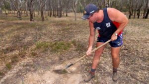 Season just around the corner