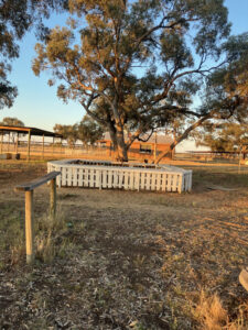 Iconic race bar scratched