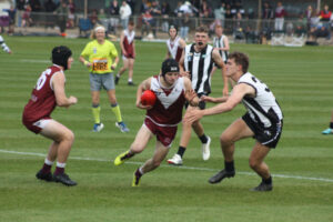 Young Swans in comeback