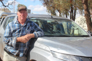 Hail hits Mallee hard