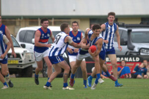 Andrews leads the Roos