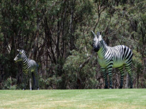 Zoo animals settle in