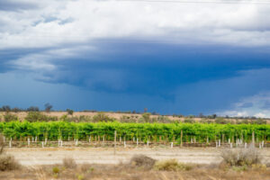 Wetter autumn predicted after dry end to summer in Swan Hill