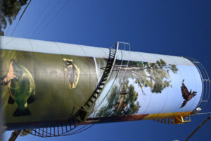 Footy team warming up