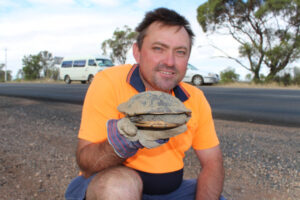 The turtle who crossed the road