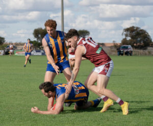 Swans outlast determined Eagles