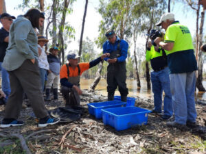 Healthy Rivers Program pours funding into Basin communities