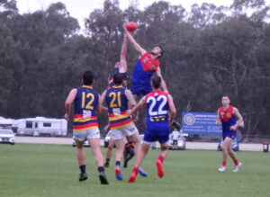 Raiders a-Nyah-lated