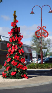 City Christmas tree to come to life