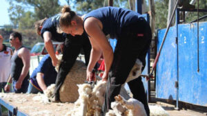 Thousands flock to outback festival
