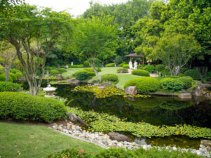 Japanese garden plans take shape