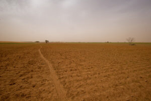 Drought resilience plan launched