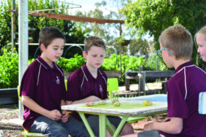 Discovering this best kept secret