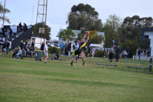 Tigers obliterate the Magpies