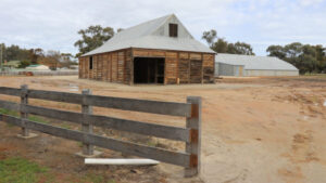 Festival is finally here