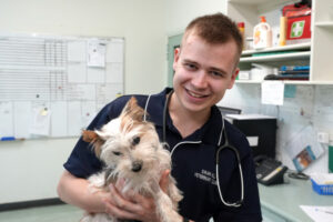 Vet Will chooses a local way