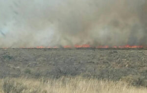 Burn permits available