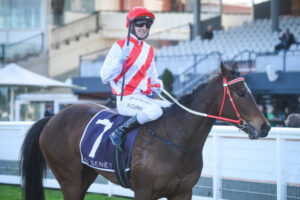 Fast start continues for Cute As