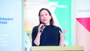 Walsh: Gov out of ideas