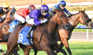 Coffeys golden season sails into 2025