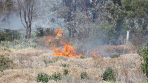 Fire restrictions in force for NSW