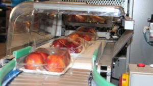 Minister’s fruitful visit