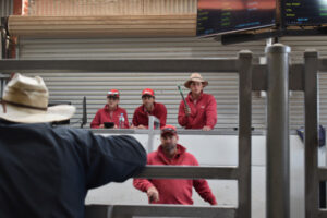 Have say on saleyards at public forum