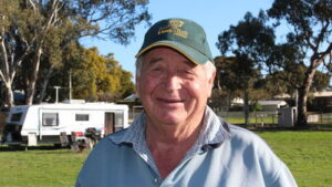 Life as busy as a bee