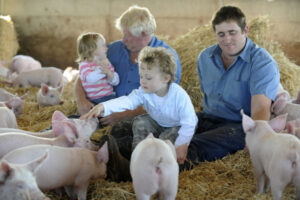 Pig farms on hit list, say producers