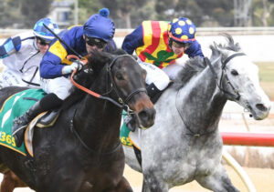 Favourite charges home to Cup win