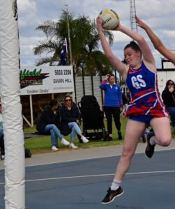 Stand-ins shine for Dogs