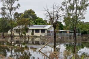 Flood insurance inquiry kicks off