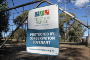 Covenants safeguard future land