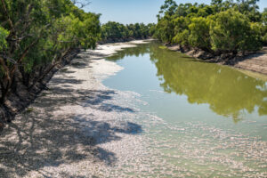 Seasonal flows vital