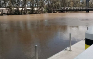 Murray River level at Barham eases